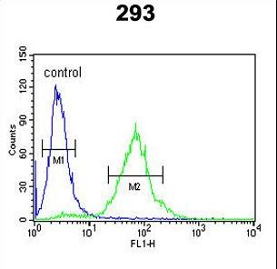 SETD8 / SET8 Antibody - SETD8 Antibody flow cytometry of 293 cells (right histogram) compared to a negative control cell (left histogram). FITC-conjugated goat-anti-rabbit secondary antibodies were used for the analysis.