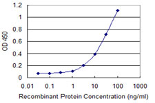 SFTPC / Surfactant Protein C Antibody - Detection limit for recombinant GST tagged SFTPC is 0.3 ng/ml as a capture antibody.