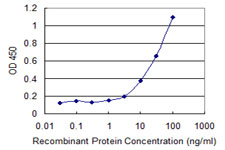 SGCA / DAG2 Antibody - Detection limit for recombinant GST tagged SGCA is 1 ng/ml as a capture antibody.