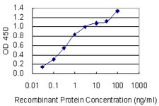 SGCD / Delta-Sarcoglycan Antibody - Detection limit for recombinant GST tagged SGCD is 0.03 ng/ml as a capture antibody.