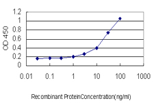 SGK1 / SGK Antibody - Detection limit for recombinant GST tagged SGK is approximately 1 ng/ml as a capture antibody.