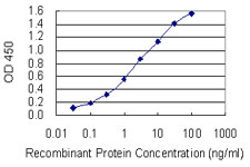 SGTA / SGT Antibody - Detection limit for recombinant GST tagged SGTA is 0.03 ng/ml as a capture antibody.