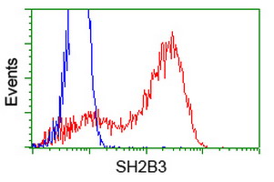 SH2B3 / LNK Antibody - HEK293T cells transfected with either overexpress plasmid (Red) or empty vector control plasmid (Blue) were immunostained by anti-SH2B3 antibody, and then analyzed by flow cytometry.
