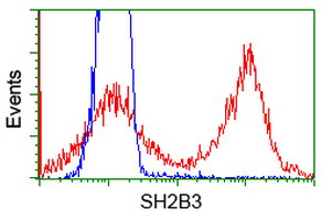SH2B3 / LNK Antibody - HEK293T cells transfected with either overexpress plasmid (Red) or empty vector control plasmid (Blue) were immunostained by anti-SH2B3 antibody, and then analyzed by flow cytometry.