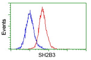 SH2B3 / LNK Antibody - Flow cytometry of HeLa cells, using anti-SH2B3 antibody (Red), compared to a nonspecific negative control antibody (Blue).