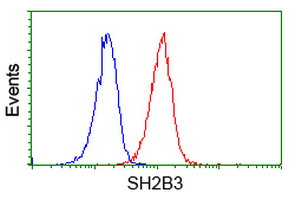 SH2B3 / LNK Antibody - Flow cytometry of Jurkat cells, using anti-SH2B3 antibody (Red), compared to a nonspecific negative control antibody (Blue).