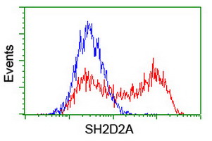 SH2D2A Antibody - HEK293T cells transfected with either overexpress plasmid (Red) or empty vector control plasmid (Blue) were immunostained by anti-SH2D2A antibody, and then analyzed by flow cytometry.