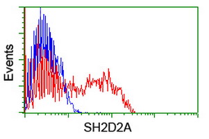SH2D2A Antibody - HEK293T cells transfected with either overexpress plasmid (Red) or empty vector control plasmid (Blue) were immunostained by anti-SH2D2A antibody, and then analyzed by flow cytometry.