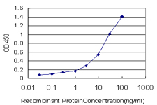 SH2D3C / NSP3 Antibody - Detection limit for recombinant GST tagged SH2D3C is approximately 0.1 ng/ml as a capture antibody.