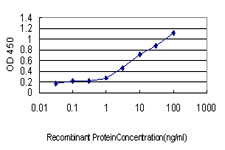 SH2D4A Antibody - Detection limit for recombinant GST tagged SH2D4A is approximately 0.03 ng/ml as a capture antibody.
