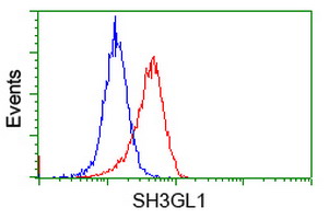 SH3GL1 / EEN Antibody - Flow cytometry of HeLa cells, using anti-SH3GL1 antibody, (Red), compared to a nonspecific negative control antibody, (Blue).