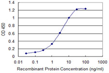 SH3RF1 / POSH Antibody - Detection limit for recombinant GST tagged SH3RF1 is 0.03 ng/ml as a capture antibody.