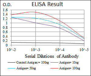 SHH / Sonic Hedgehog Antibody - Red: Control Antigen (100ng); Purple: Antigen (10ng); Green: Antigen (50ng); Blue: Antigen (100ng);