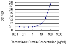 SHOX2 Antibody - Detection limit for recombinant GST tagged SHOX2 is 1 ng/ml as a capture antibody.