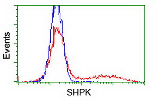 SHPK / CARKL Antibody - HEK293T cells transfected with either overexpress plasmid (Red) or empty vector control plasmid (Blue) were immunostained by anti-SHPK antibody, and then analyzed by flow cytometry.