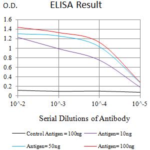 SIGLEC1 / CD169 / Sialoadhesin Antibody - Black line: Control Antigen (100 ng);Purple line: Antigen (10ng); Blue line: Antigen (50 ng); Red line:Antigen (100 ng)