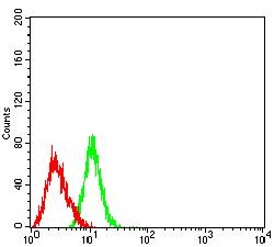 SIGLEC5 / CD170 Antibody - Flow cytometric analysis of HL-60 cells using CD170 mouse mAb (green) and negative control (red).