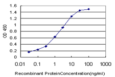 SIM2 Antibody - Detection limit for recombinant GST tagged SIM2 is approximately 0.03 ng/ml as a capture antibody.