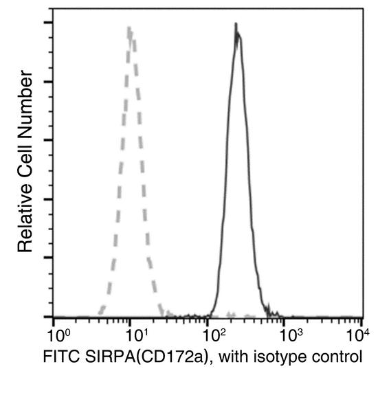 SIRPA / CD172a Antibody - Flow cytometric analysis of rat SIRPA (CD172a)  expression on SD rat bone marrow cells. Cells were stained with FITC-conjugated anti-rat SIRPA (CD172a) . The fluorescence histograms were derived from gated events with the forward and side light-scatter characteristics of intact cells.