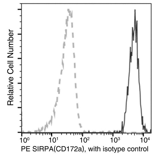 SIRPA / CD172a Antibody - Flow cytometric analysis of rat SIRPA (CD172a)  expression on SD rat bone marrow cells. Cells were stained with PE-conjugated anti-rat SIRPA (CD172a) . The fluorescence histograms were derived from gated events with the forward and side light-scatter characteristics of intact cells.