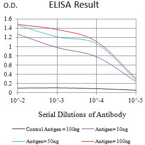 SIRPG Antibody - Black line: Control Antigen (100 ng);Purple line: Antigen (10ng); Blue line: Antigen (50 ng); Red line:Antigen (100 ng)