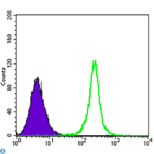 SIRT1 / Sirtuin 1 Antibody - Flow cytometric (FCM) analysis of K562 cells using SIRT1 Monoclonal Antibody (green) and negative control (purple).