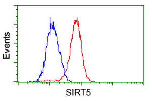 SIRT5 / Sirtuin 5 Antibody - Flow cytometry of HeLa cells, using anti-SIRT5 antibody (Red), compared to a nonspecific negative control antibody (Blue).