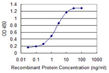 SKIL / SNO / SnoN Antibody - Detection limit for recombinant GST tagged SKIL is 0.03 ng/ml as a capture antibody.