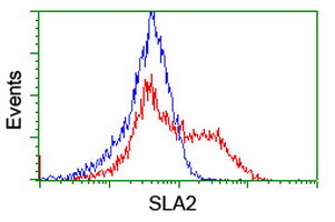 SLA2 / SLAP2 Antibody - HEK293T cells transfected with either overexpress plasmid (Red) or empty vector control plasmid (Blue) were immunostained by anti-SLA2 antibody, and then analyzed by flow cytometry.