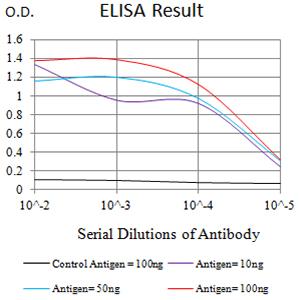 SLAMF6 / NTBA Antibody - Black line: Control Antigen (100 ng);Purple line: Antigen (10ng); Blue line: Antigen (50 ng); Red line:Antigen (100 ng)