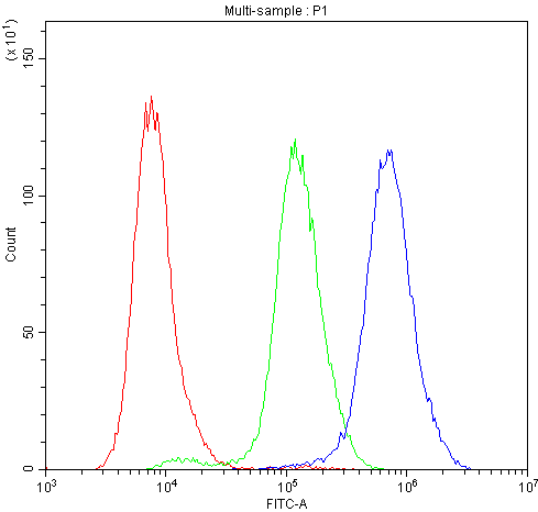 SLC10A1 / NTCP Antibody - Flow Cytometry analysis of BRL cells using anti-SLC10A1 antibody. Overlay histogram showing BRL cells stained with anti-SLC10A1 antibody (Blue line). The cells were blocked with 10% normal goat serum. And then incubated with rabbit anti-SLC10A1 Antibody (1µg/10E6 cells) for 30 min at 20°C. DyLight®488 conjugated goat anti-rabbit IgG (5-10µg/10E6 cells) was used as secondary antibody for 30 minutes at 20°C. Isotype control antibody (Green line) was rabbit IgG (1µg/10E6 cells) used under the same conditions. Unlabelled sample (Red line) was also used as a control.