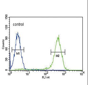 SLC10A1 / NTCP Antibody - SLC10A1 Antibody flow cytometry of K562 cells (right histogram) compared to a negative control cell (left histogram). FITC-conjugated goat-anti-rabbit secondary antibodies were used for the analysis.