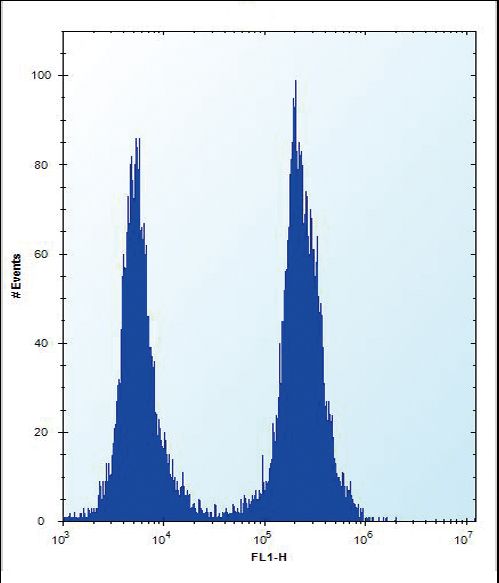 SLC16A10 Antibody - SLC16A10 Antibody flow cytometry of K562 cells (right histogram) compared to a negative control cell (left histogram). FITC-conjugated donkey-anti-rabbit secondary antibodies were used for the analysis.