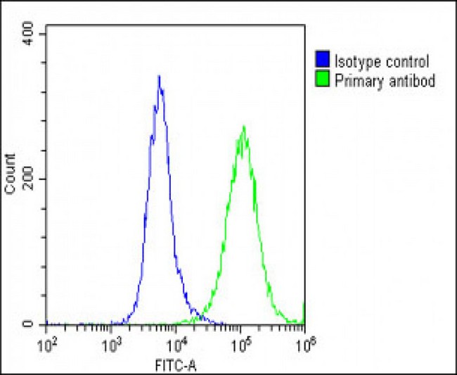 SLC17A6 / VGLUT2 Antibody - Overlay histogram showing U-87 MG cells stained with SLC17A6 Antibody (Center) (green line). The cells were fixed with 2% paraformaldehyde (10 min) and then permeabilized with 90% methanol for 10 min. The cells were then icubated in 2% bovine serum albumin to block non-specific protein-protein interactions followed by the antibody (SLC17A6 Antibody (Center), 1:25 dilution) for 60 min at 37°C. The secondary antibody used was Goat-Anti-Rabbit IgG, DyLight® 488 Conjugated Highly Cross-Adsorbed (1583138) at 1/200 dilution for 40 min at 37°C. Isotype control antibody (blue line) was rabbit IgG1 (1µg/1x10^6 cells) used under the same conditions. Acquisition of >10, 000 events was performed.