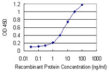 SLC18A1 / VMAT1 Antibody - Detection limit for recombinant GST tagged SLC18A1 is 0.1 ng/ml as a capture antibody.