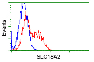 SLC18A2 / VMAT2 Antibody - HEK293T cells transfected with either pCMV6-ENTRY SLC18A2 (Red) or empty vector control plasmid (Blue) were immunostained with anti-SLC18A2 mouse monoclonal(Dilution 1:1,000), and then analyzed by flow cytometry.