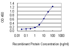 SLC22A4 / OCTN1 Antibody - Detection limit for recombinant GST tagged SLC22A4 is 0.3 ng/ml as a capture antibody.