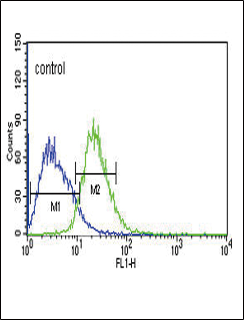 SLC25A1 / SEA Antibody - TXTP Antibody flow cytometry of Jurkat cells (right histogram) compared to a negative control cell (left histogram). FITC-conjugated goat-anti-rabbit secondary antibodies were used for the analysis.