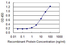SLC26A3 / DRA Antibody - Detection limit for recombinant GST tagged SLC26A3 is 0.3 ng/ml as a capture antibody.