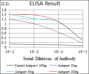 SLC27A5 / BACS Antibody - Red: Control Antigen (100ng); Purple: Antigen (10ng); Green: Antigen (50ng); Blue: Antigen (100ng);