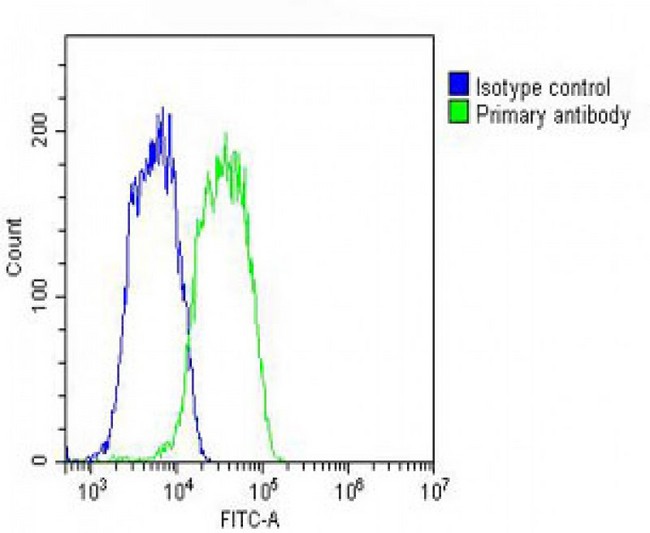 SLC29A2 / ENT2 Antibody - Overlay histogram showing HepG2 cells stained with SLC29A2 Antibody (N-Term) (green line). The cells were fixed with 2% paraformaldehyde (10 min) and then permeabilized with 90% methanol for 10 min. The cells were then icubated in 2% bovine serum albumin to block non-specific protein-protein interactions followed by the antibody (SLC29A2 Antibody (N-Term), 1:25 dilution) for 60 min at 37°C. The secondary antibody used was Goat-Anti-Rabbit IgG, DyLight® 488 Conjugated Highly Cross-Adsorbed at 1/200 dilution for 40 min at 37°C. Isotype control antibody (blue line) was rabbit IgG (1µg/1x10^6 cells) used under the same conditions. Acquisition of >10, 000 events was performed.