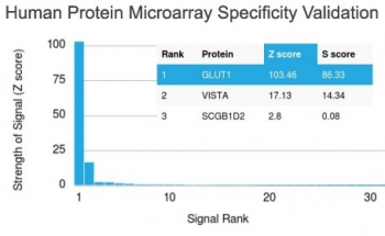 SLC2A1 / GLUT-1 Antibody - Analysis of HuProt(TM) microarray containing more than 19,000 full-length human proteins using GLUT1 antibody (clone GLUT1/2476). These results demonstrate the foremost specificity of the GLUT1/2476 mAb. Z- and S- score: The Z-score represents the strength of a signal that an antibody (in combination with a fluorescently-tagged anti-IgG secondary Ab) produces when binding to a particular protein on the HuProt(TM) array. Z-scores are described in units of standard deviations (SDs) above the mean value of all signals generated on that array. If the targets on the HuProt(TM) are arranged in descending order of the Z-score, the S-score is the difference (also in units of SDs) between the Z-scores. The S-score therefore represents the relative target specificity of an Ab to its intended target.