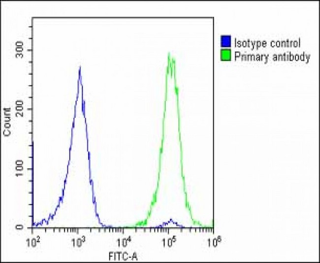 SLC2A3 / GLUT3 Antibody - Overlay histogram showing U-2 OS cells stained with SLC2A3 Antibody (C-Term) (green line). The cells were fixed with 2% paraformaldehyde (10 min) and then permeabilized with 90% methanol for 10 min. The cells were then icubated in 2% bovine serum albumin to block non-specific protein-protein interactions followed by the antibody (SLC2A3 Antibody (C-Term), 1:25 dilution) for 60 min at 37°C. The secondary antibody used was Goat-Anti-Rabbit IgG, DyLight® 488 Conjugated Highly Cross-Adsorbed (OE188374) at 1/200 dilution for 40 min at 37°C. Isotype control antibody (blue line) was rabbit IgG1 (1µg/1x10^6 cells) used under the same conditions. Acquisition of >10, 000 events was performed.