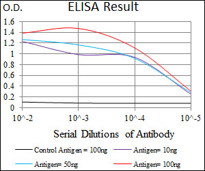 SLC2A4 / GLUT-4 Antibody - Red: Control Antigen (100ng); Purple: Antigen (10ng); Green: Antigen (50ng); Blue: Antigen (100ng);