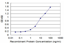 SLC2A4 / GLUT-4 Antibody - Detection limit for recombinant GST tagged SLC2A4 is approximately 0.3 ng/ml as a capture antibody.