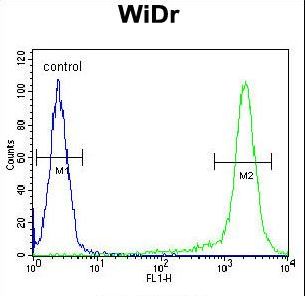 SLC35G5 / AMAC1L2 Antibody - AMAC1L2 Antibody flow cytometry of WiDr cells (right histogram) compared to a negative control cell (left histogram). FITC-conjugated goat-anti-rabbit secondary antibodies were used for the analysis.