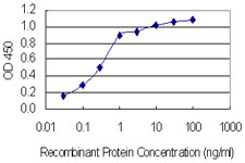 SLC37A4 / G6PT Antibody - Detection limit for recombinant GST tagged SLC37A4 is 0.03 ng/ml as a capture antibody.
