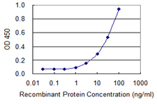 SLC3A1 / ATR1 Antibody - Detection limit for recombinant GST tagged SLC3A1 is 0.3 ng/ml as a capture antibody.