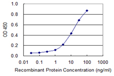 SLC5A3  Antibody - Detection limit for recombinant GST tagged SLC5A3 is 0.3 ng/ml as a capture antibody.