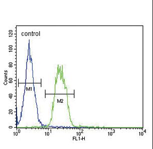 SLC6A12 / BGT-1 Antibody - S6A12 Antibody flow cytometry of MDA-MB231 cells (right histogram) compared to a negative control cell (left histogram). FITC-conjugated goat-anti-rabbit secondary antibodies were used for the analysis.